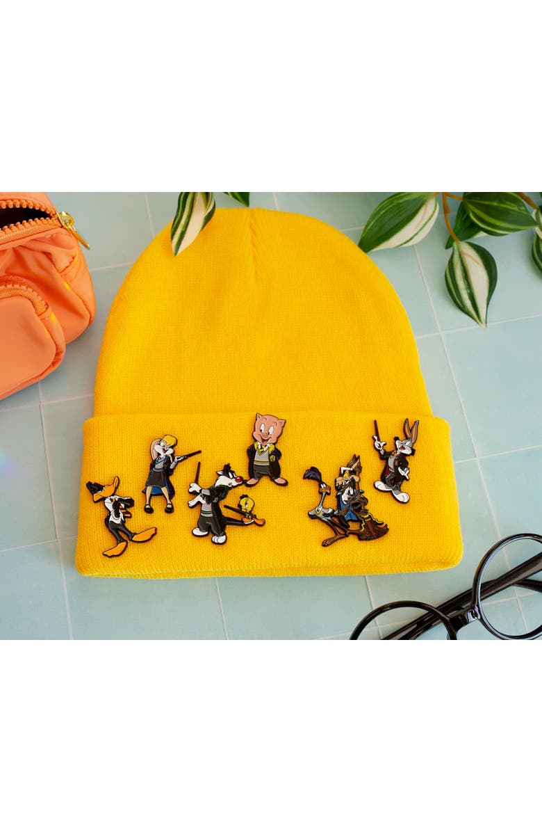 Toynk Warner Bros. 100 Looney Tunes x Harry Potter 6-Pin Set, Alternate, color, Gold