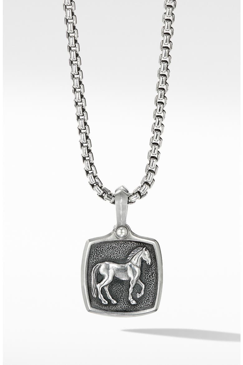 Petrvs® Horse Amulet Enhancer, Main, color, SILVER