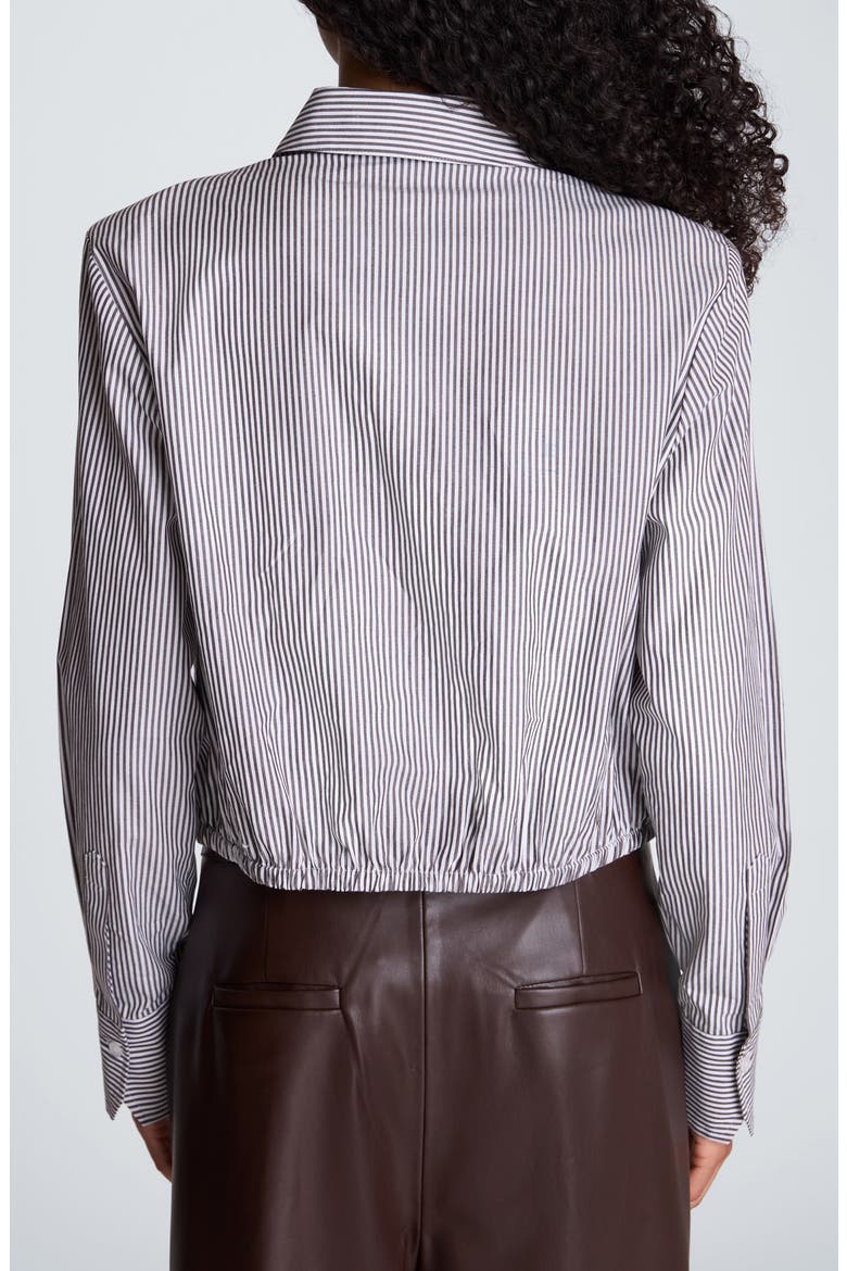 Striped Cropped Cotton Button Down Shirt, Alternate, color, PURE WHITE/ MED. BARK