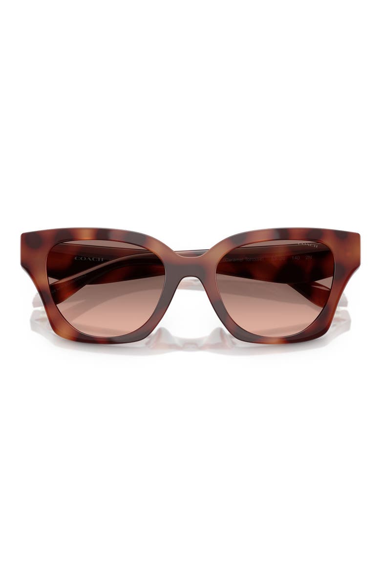 53mm Gradient Butterfly Sunglasses, Alternate, color, CARAMEL TORTOISE