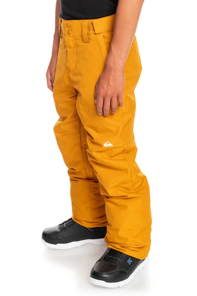 Kids' Estate Waterproof Snow Pants, Alternate, color, BUCKTHORN BROWN