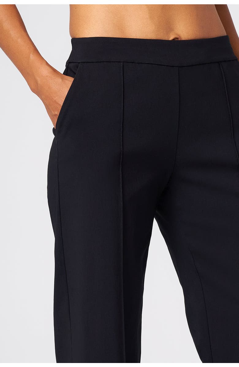 Franne Golde Wilshire Stretch Straight-Leg Pant, Alternate, color, Black
