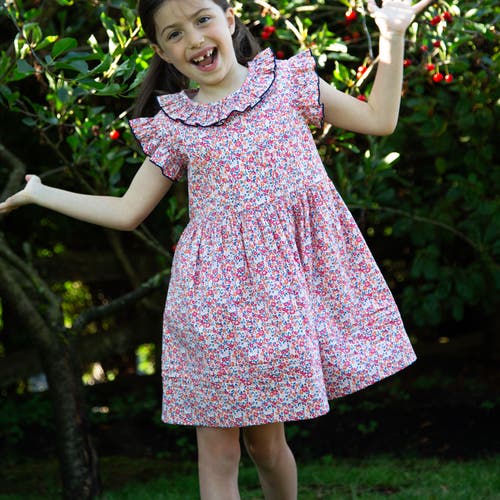 Beet World Girls Ana Dress With Ruffles In Red And Blue