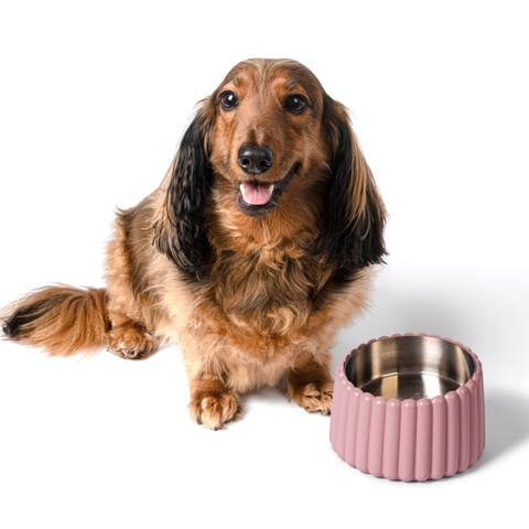 Ripple Ridge Small/Medium Slanted Concrete and Stainless Steel Bowl 16oz (2 Cups) Pet Feeder