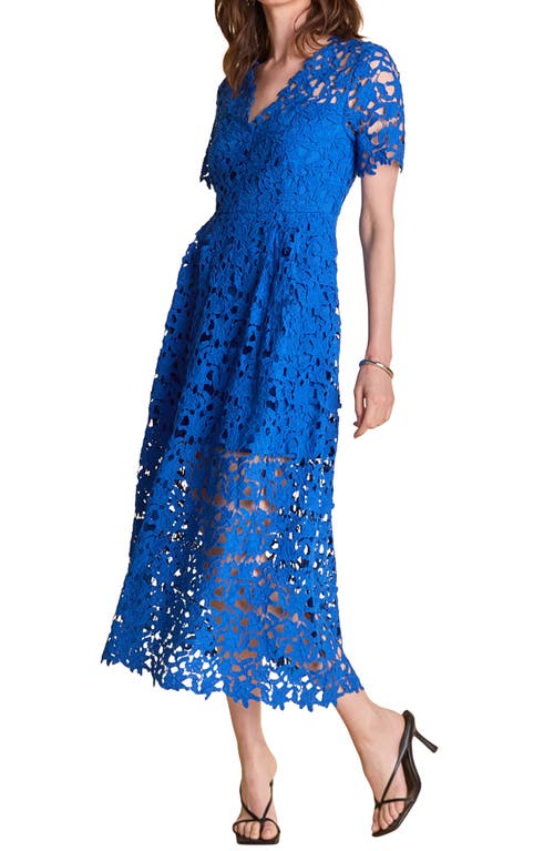 Shop Endless Rose Allover Lace Midi Dress