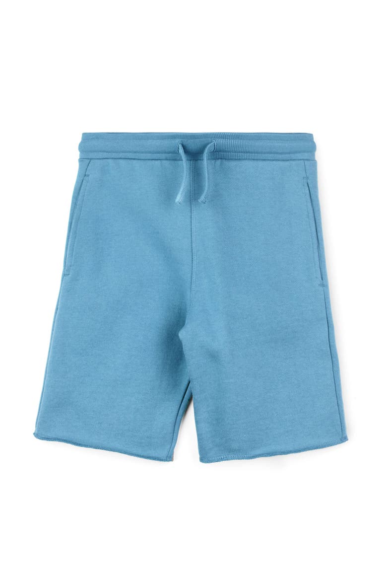Organic Cotton Fleece Knee Shorts, Main, color, Chambray