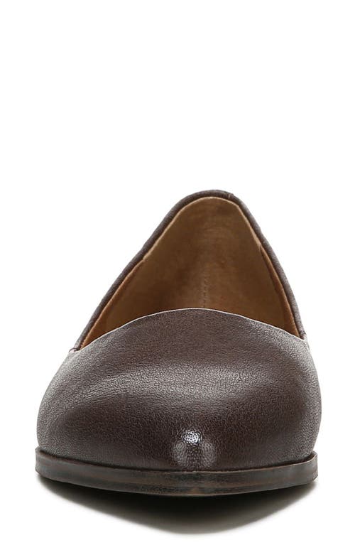 ZODIAC ZODIAC HILL POINTY TOE FLAT