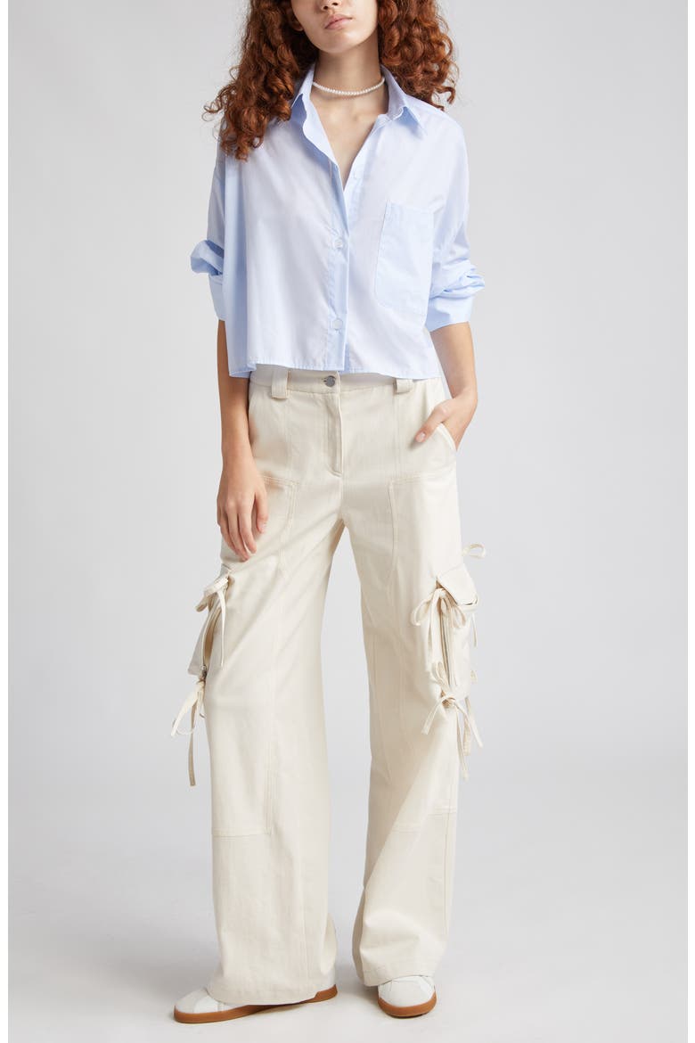 Next Ex Crop Button-Up Shirt, Main, color, BABY BLUE