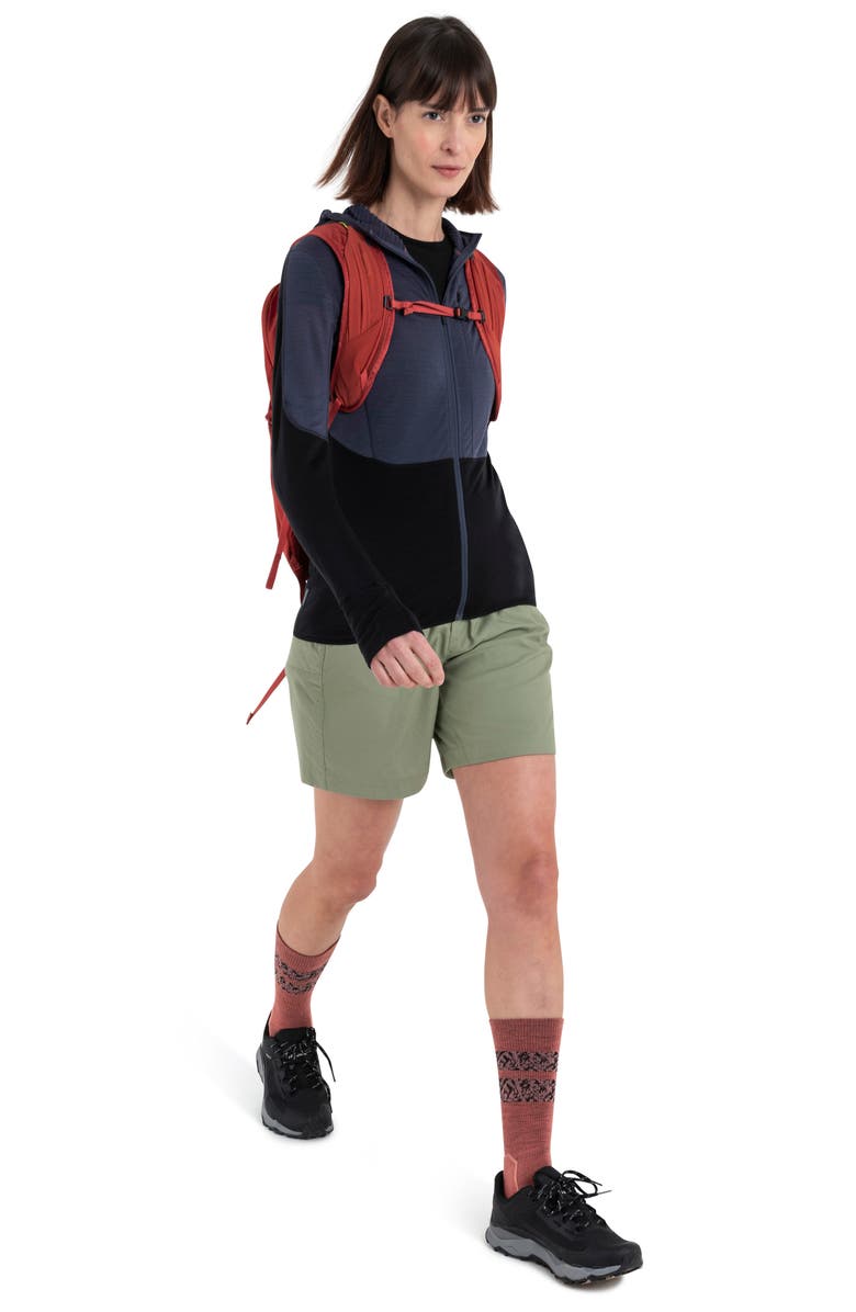 Icebreaker Tencel & Merino 200 Realfleece Descender Zip Hoodie, Alternate, color, 