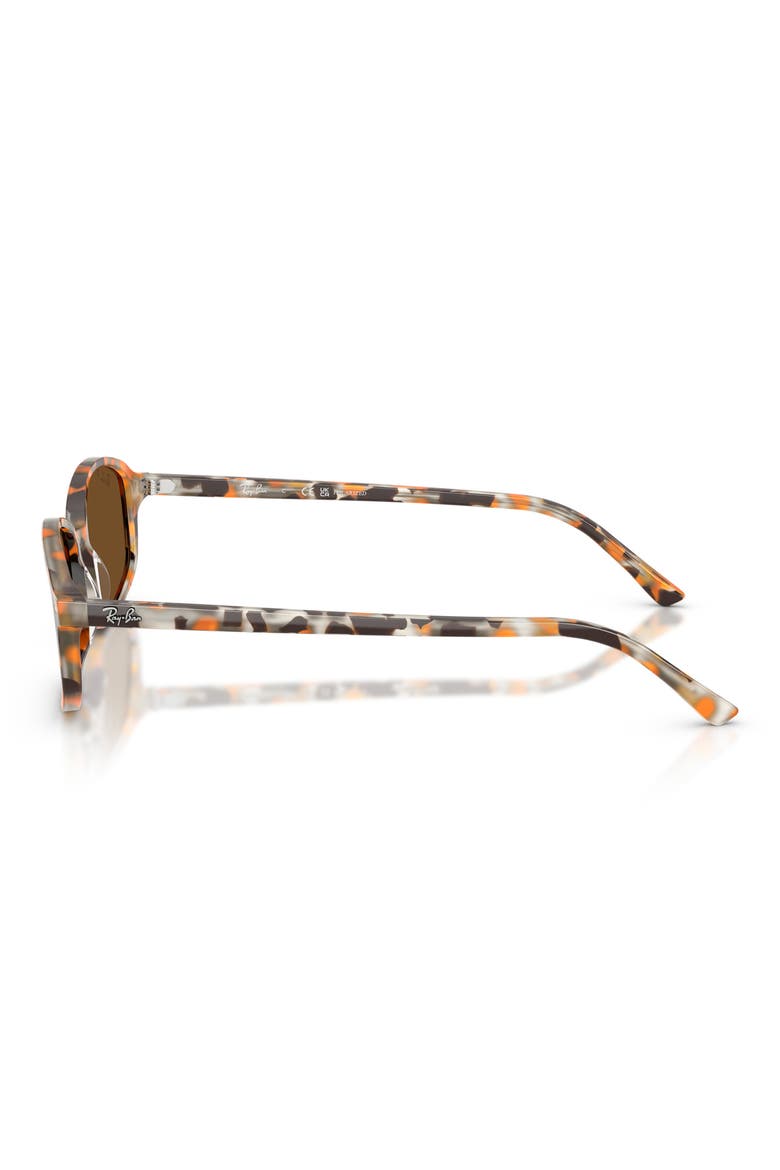 56mm Polarized Square Sunglasses, Alternate, color, HAVANA BROWN GREY / BROWN