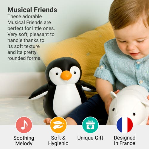 Little Big Friends Musical Animals In Multi