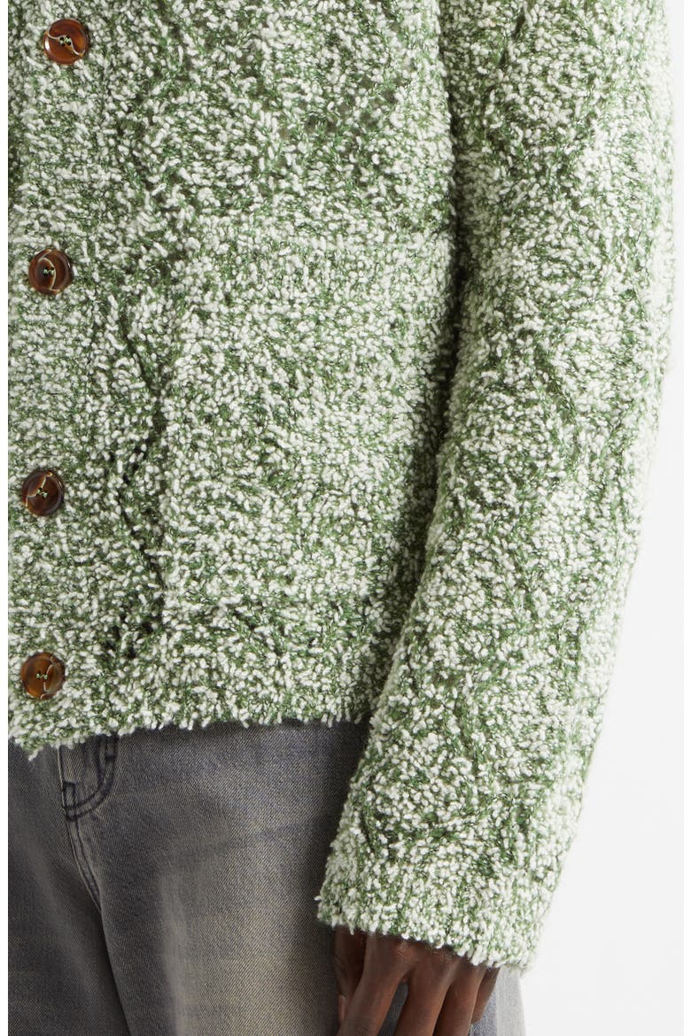 Abain Wool & Mohair Blend Bouclé Cardigan, Alternate, color, ZOYSIA FIELD