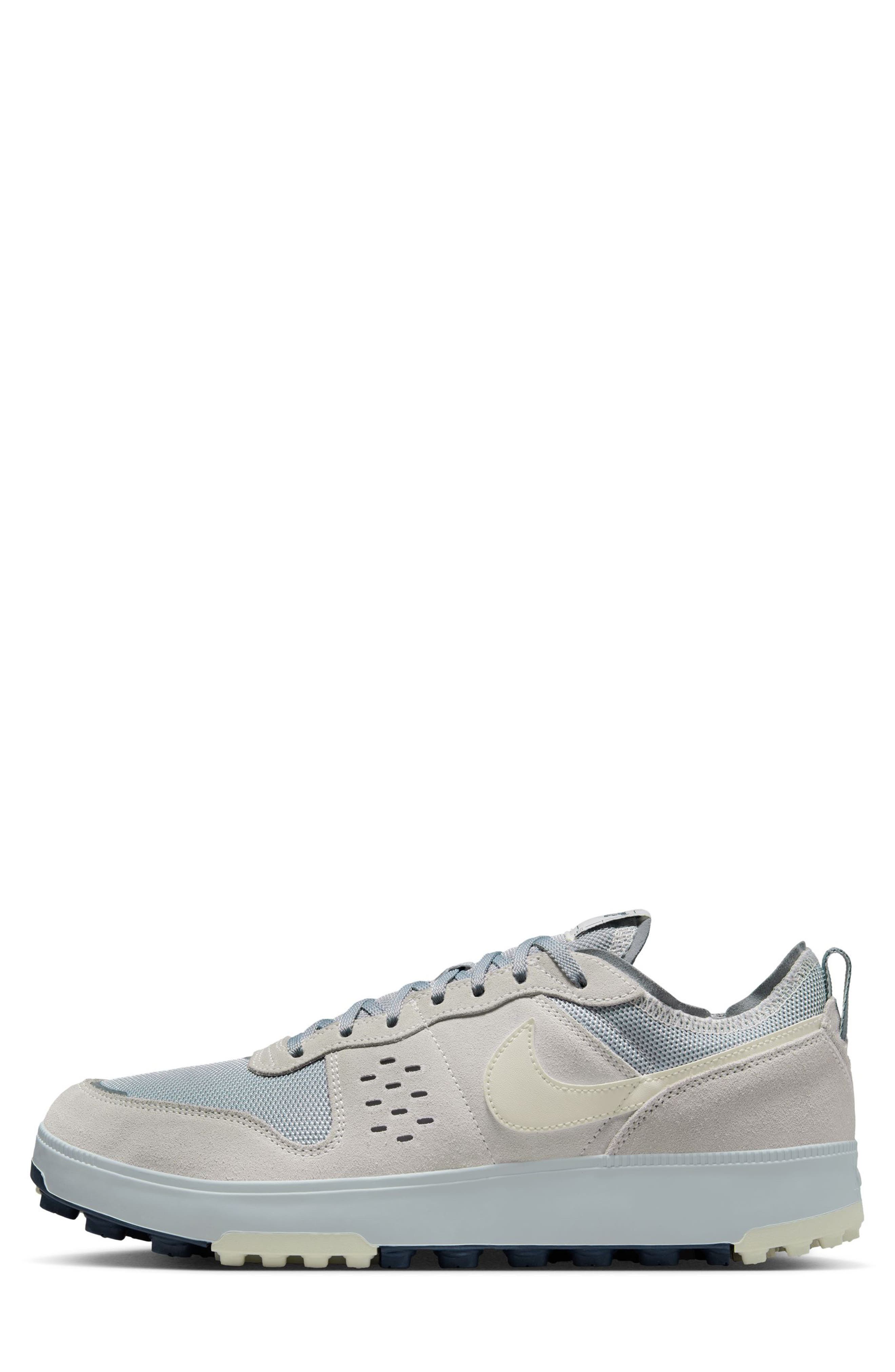 Nike C1TY Sneaker, Alternate, color, Pure Platinum/ Cool Grey