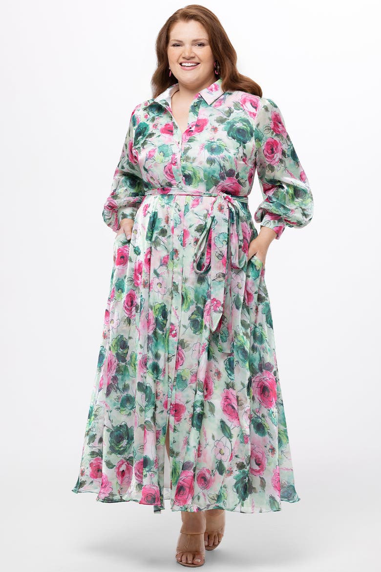 Long Sleeve Floral Button Down Plus Size Dress, Alternate, color, Floral