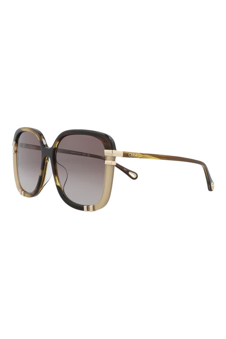 59mm Square Sunglasses, Alternate, color, HAVANA HAVANA BROWN