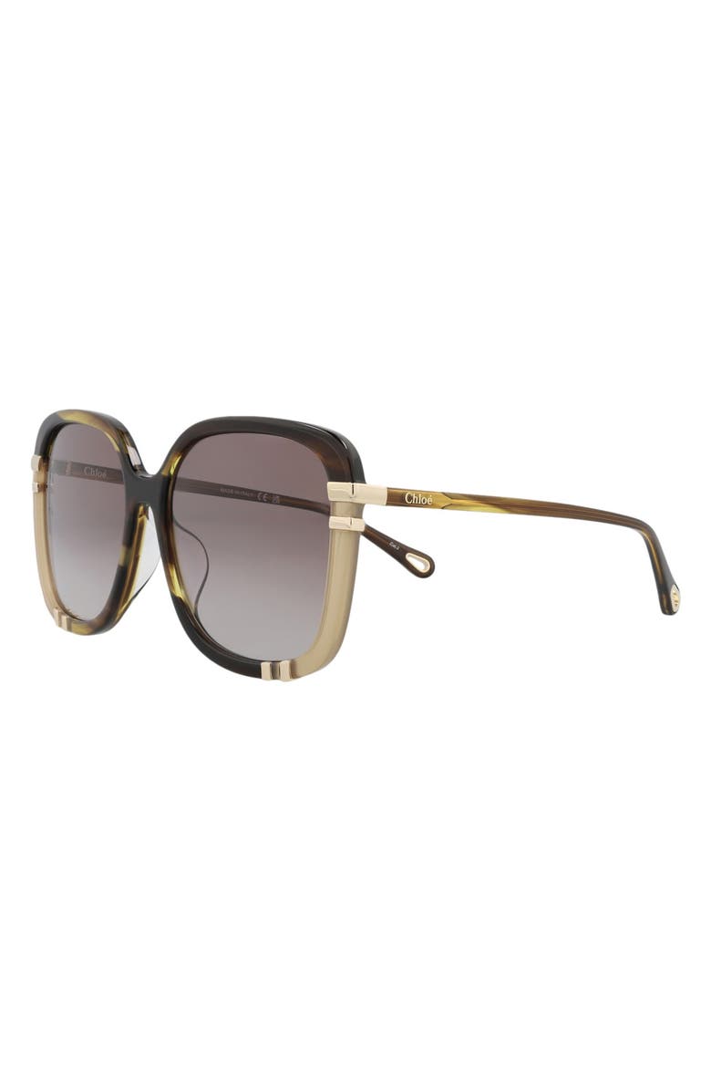 Chloé 59mm Square Sunglasses, Alternate, color, Havana Havana Brown
