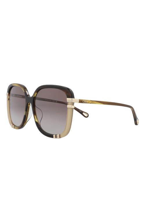 Chloé 59mm Square Sunglasses In Brown