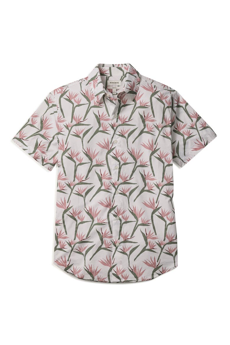 Riviera Slim Fit Point Collar Short Sleeve Stretch Cotton Button-Up Shirt, Alternate, color, BIRDS OF PARADISE