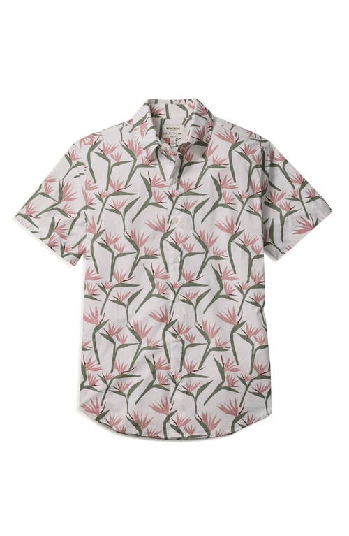 Bonobos Riviera Slim Fit Point Collar Short Sleeve Stretch Cotton Button-up Shirt In Birds Of Paradise