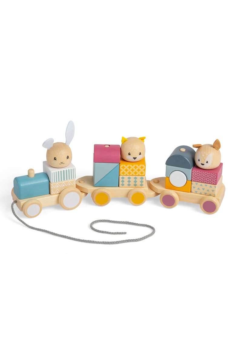 FSC® Certified Activity Pull Along Train, Main, color, Multicoloured