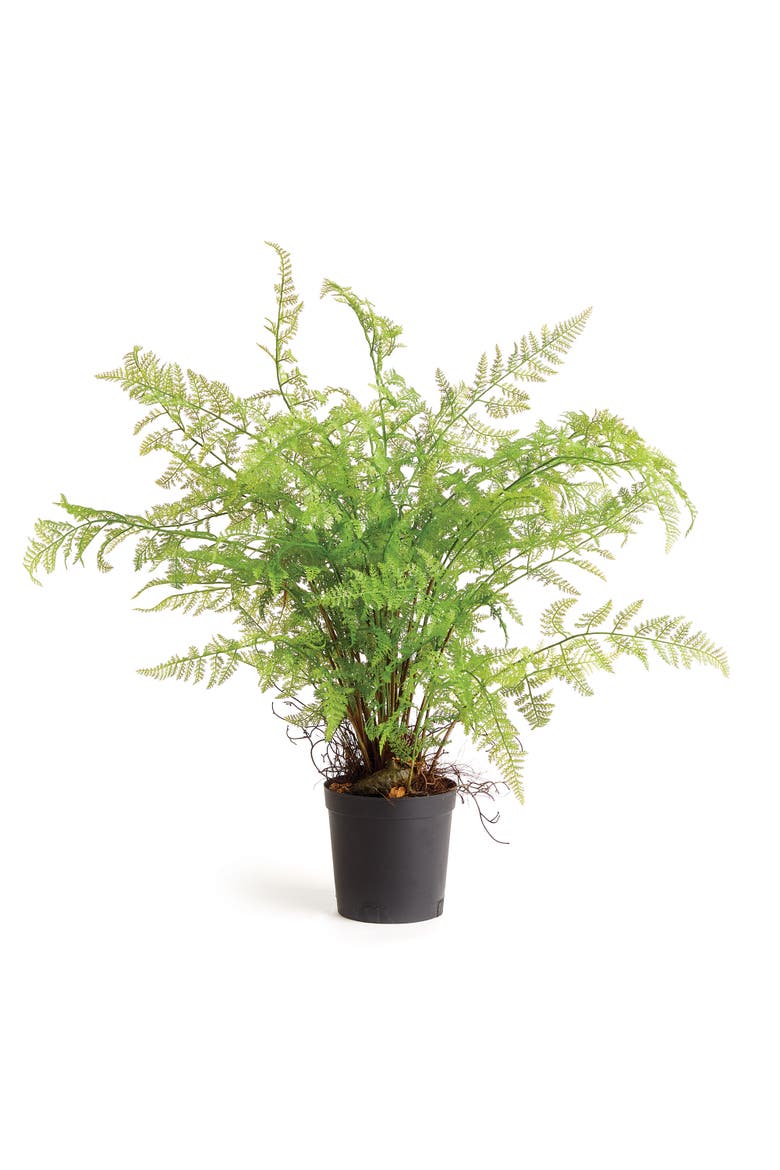 Soft Fern Drop-In 36", Main, color, Green