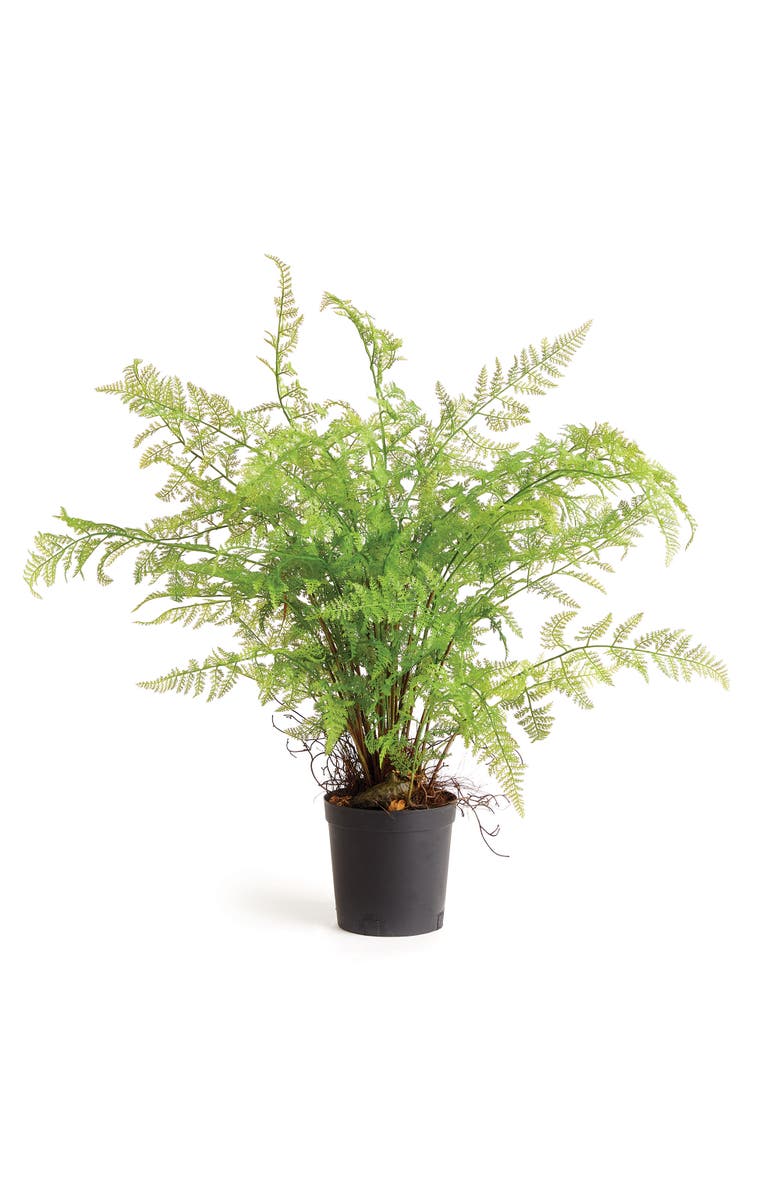 Napa Home & Garden Soft Fern Drop-In 36", Main, color, 