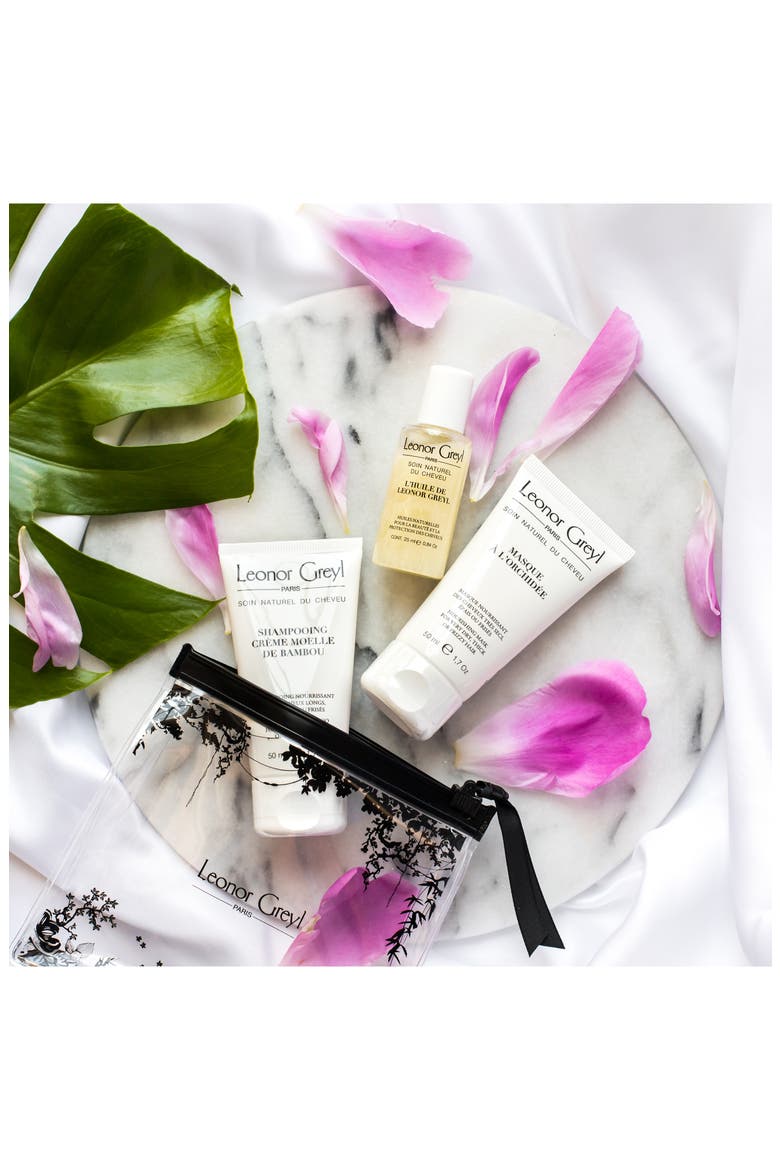 Luxury Travel Kit for Very Dry, Thick or Curly Hair, Alternate, color, NO COLOR