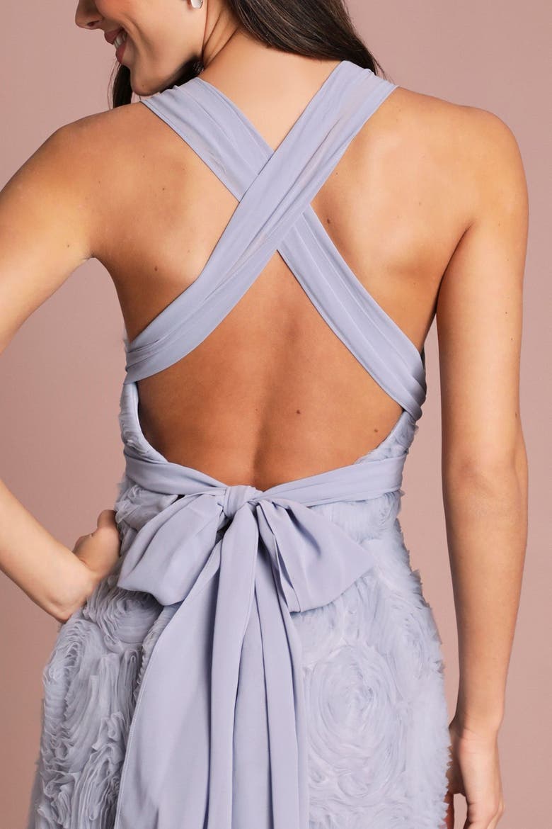 Embroidered Tie Back Maxi Dress, Alternate, color, Pale Blue