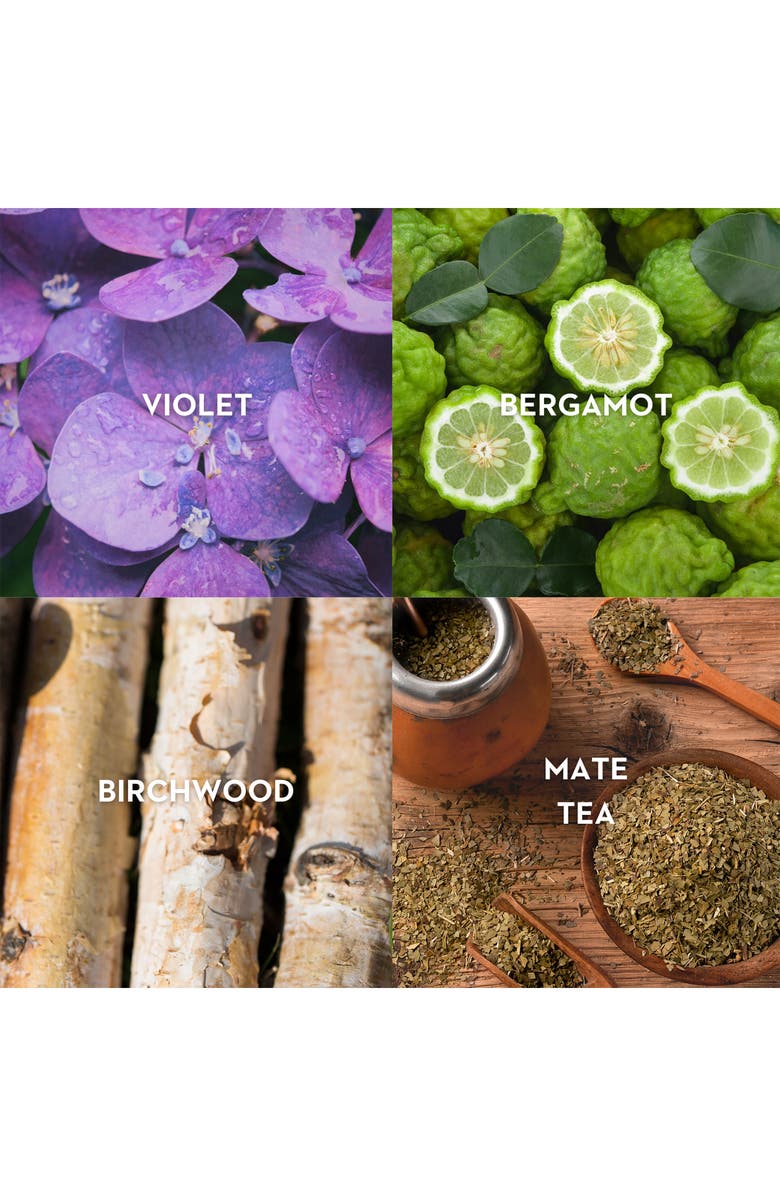 Vilhelm Parfumerie Black Citrus Eau de Parfum, Alternate, color,