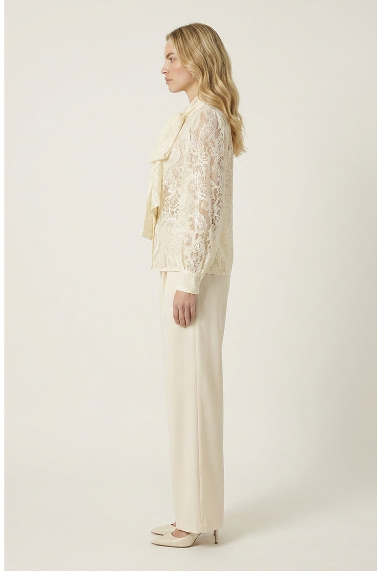 Tie Neck Sheer Long Sleeve Lace Blouse, Alternate, color, Beige