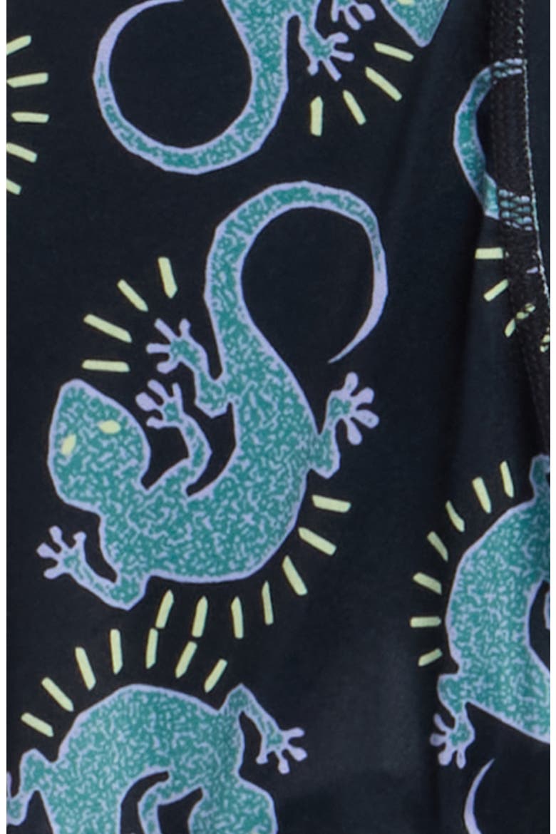 Kids' Gecko Print Boxer Briefs, Alternate, color, BLACK