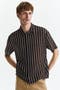  Dark Brown/Striped