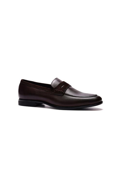 Carlos Santana Leon Penny Loafer In Brown
