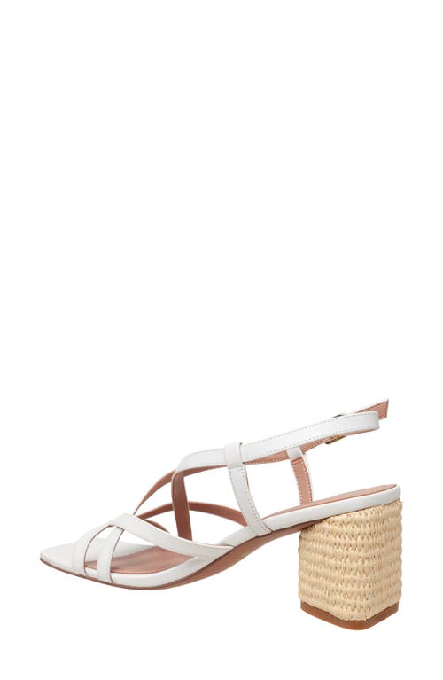 LINEA PAOLO LINEA PAOLO HAZEL SLINGBACK SANDAL
