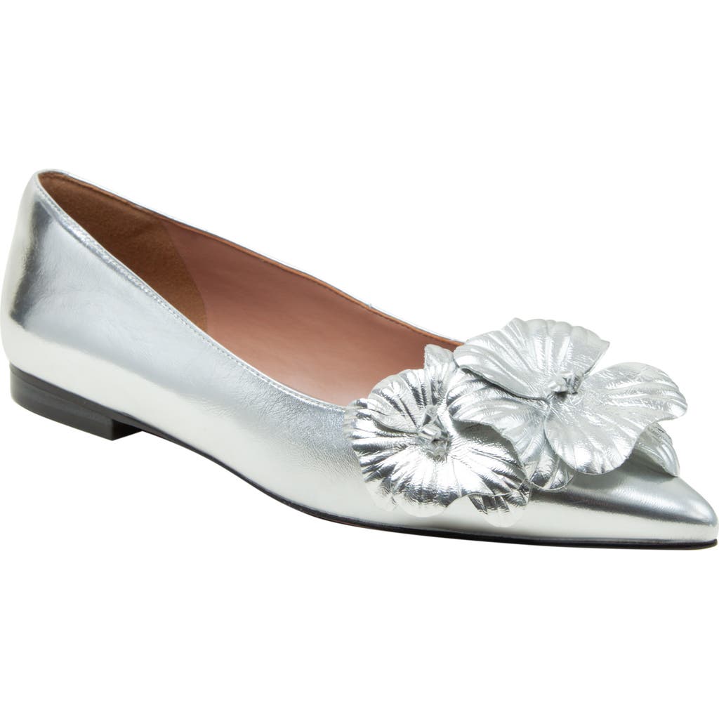 Linea Paolo Nerine Pointed Toe Flat in Silver