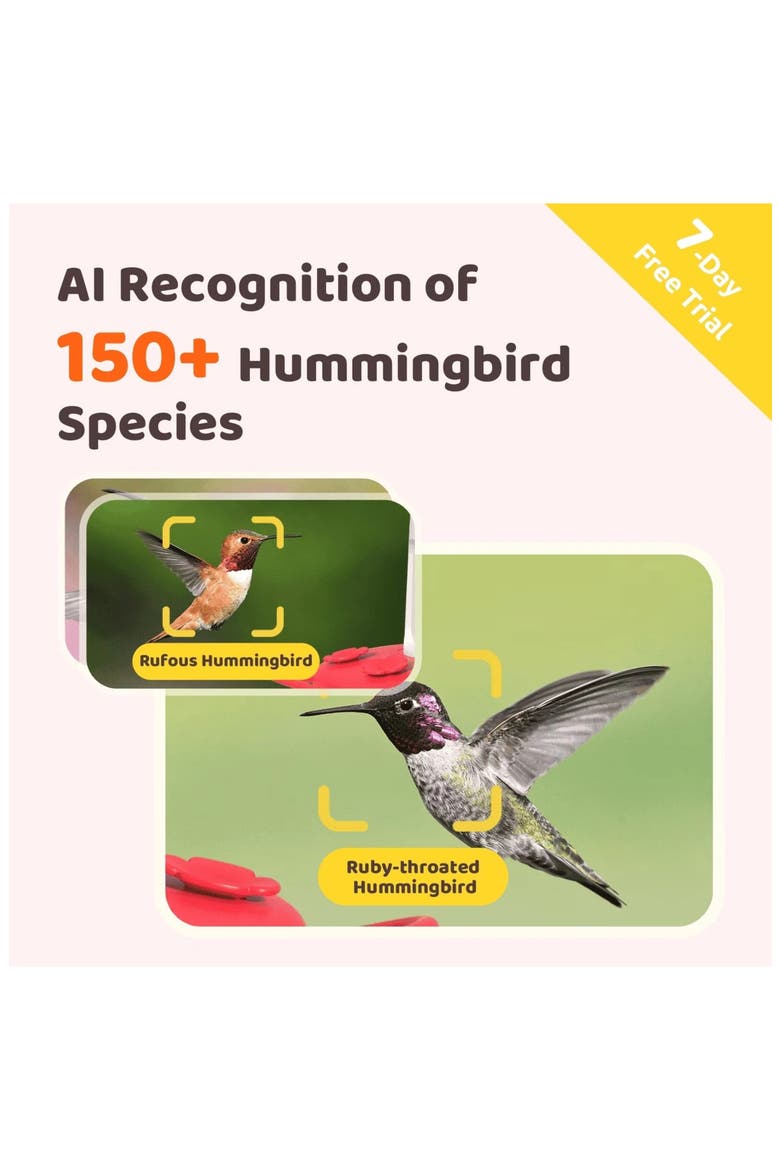 Ruby Smart Hummingbird Feeder, Alternate, color, WHITE/ RED