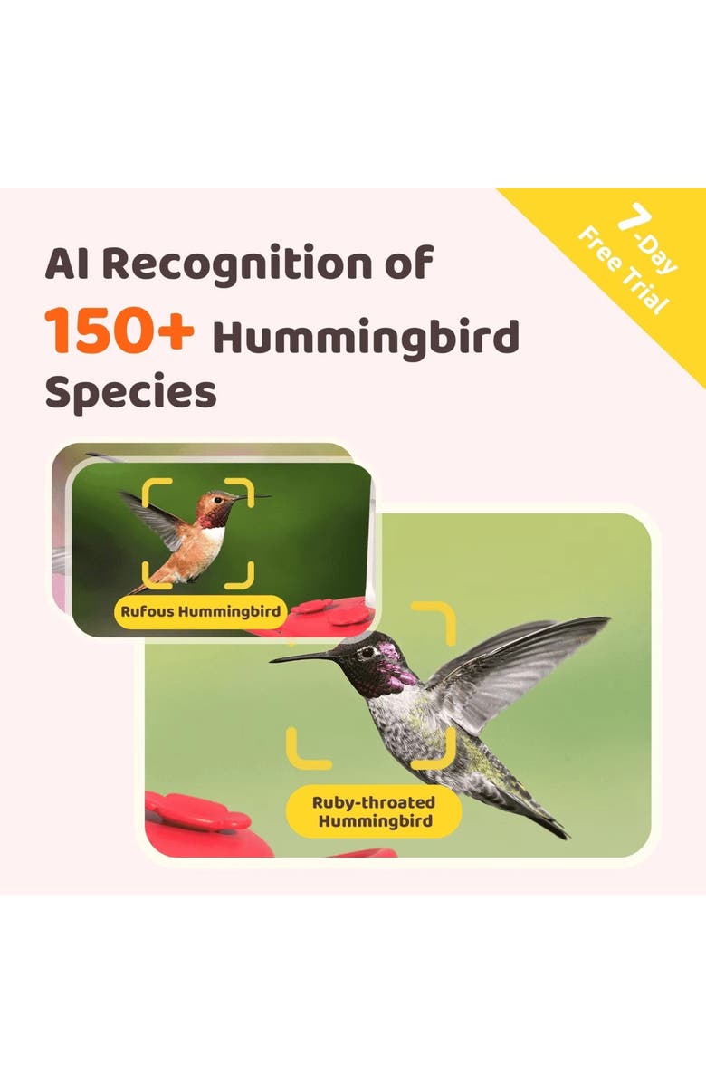 Birdfy Ruby Smart Hummingbird Feeder, Alternate, color, White/ Red