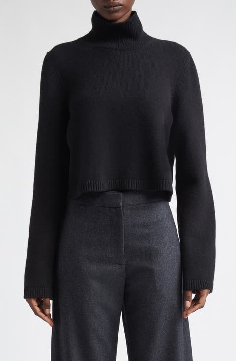 Crop Cashmere & Wool Blend Turtleneck Sweater