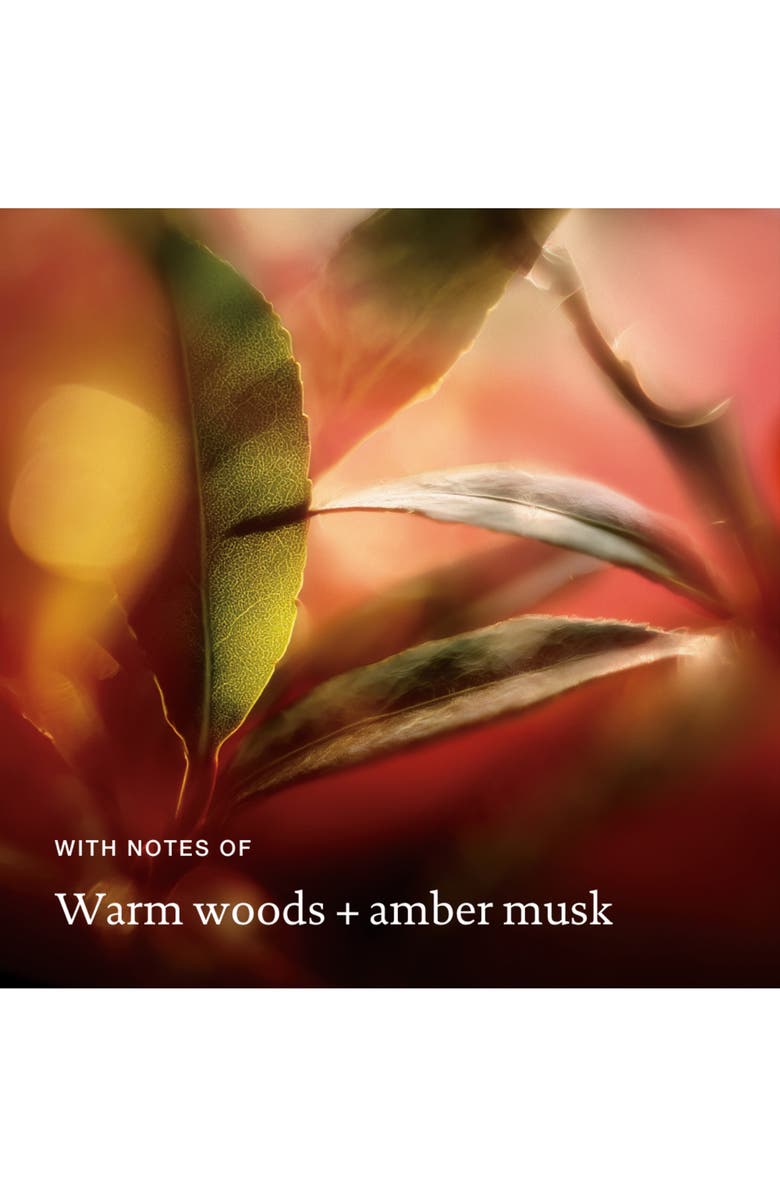 Living proof<sup>®</sup> Perfect hair Day Advanced Clean Dry Shampoo in Amber, Alternate, color,