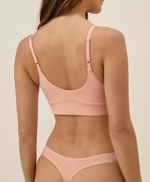 Pact Organic Cotton Everyday Mid Rise Thong 6-pack