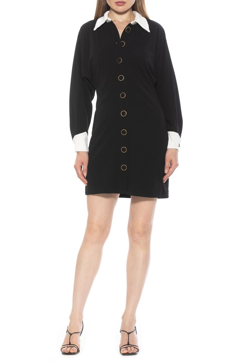 Velvette Long Sleeve Shirtdress, Main, color, BLACK IVORY