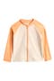 selected Dreamsicle