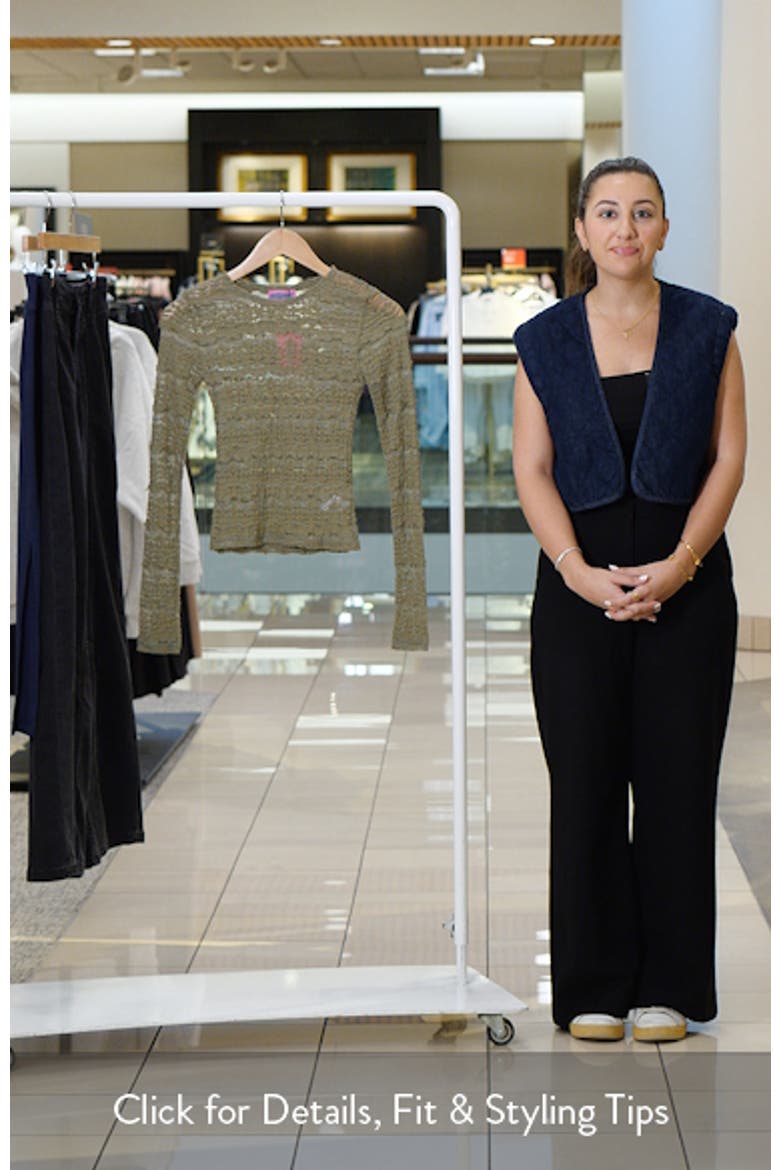 Daisey Textured Sheer Lace Top video