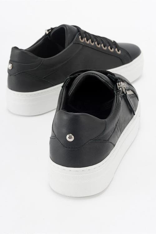 Forever & Always Shoes Beryl Leather Zip Sneaker In Black Leather