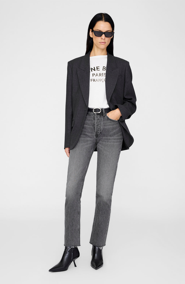 ANINE BING Signature Link Belt, Alternate, color, Black With Silver