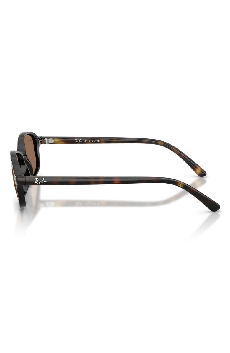 Ray-Ban Kids' 49mm Irregular Sunglasses, Alternate, color, Havana / Dark Brown