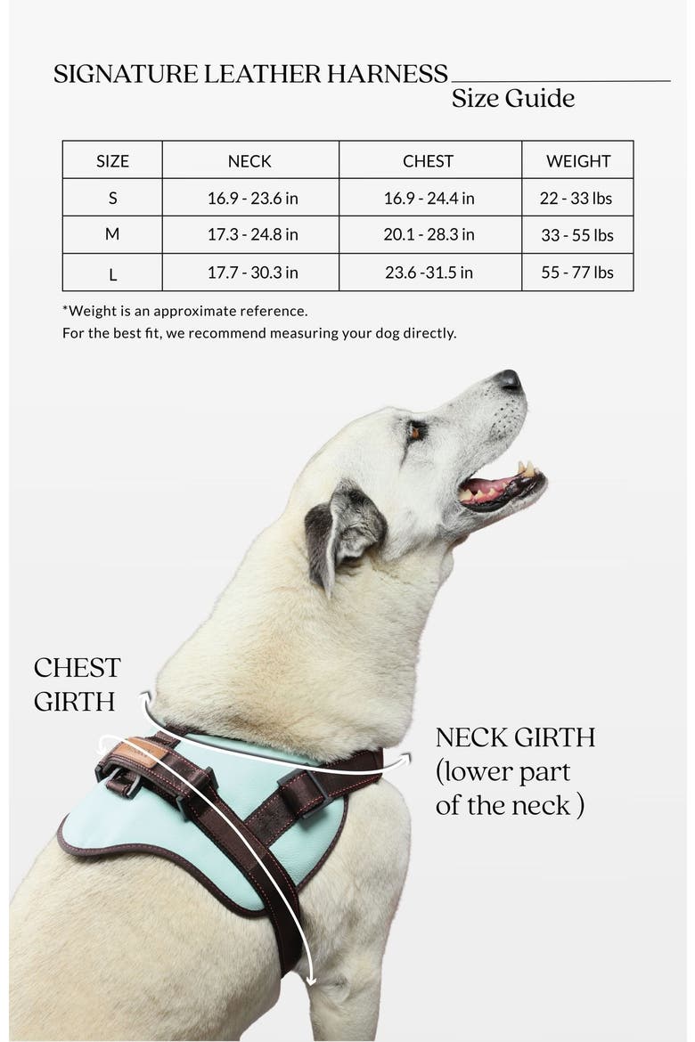 Signature Leather Dog Harness, Alternate, color, Black