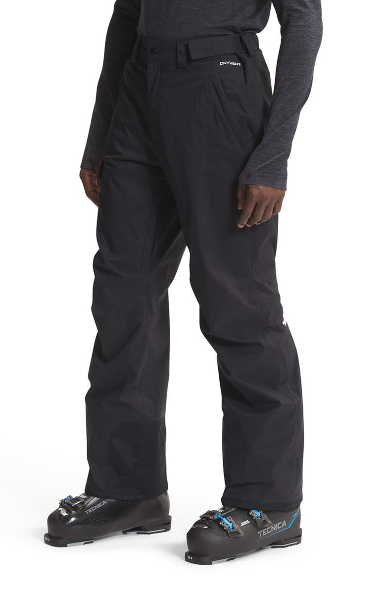 The North Face Freedom HyVent<sup>®</sup> Waterproof Cargo Snow Pants, Alternate, color,