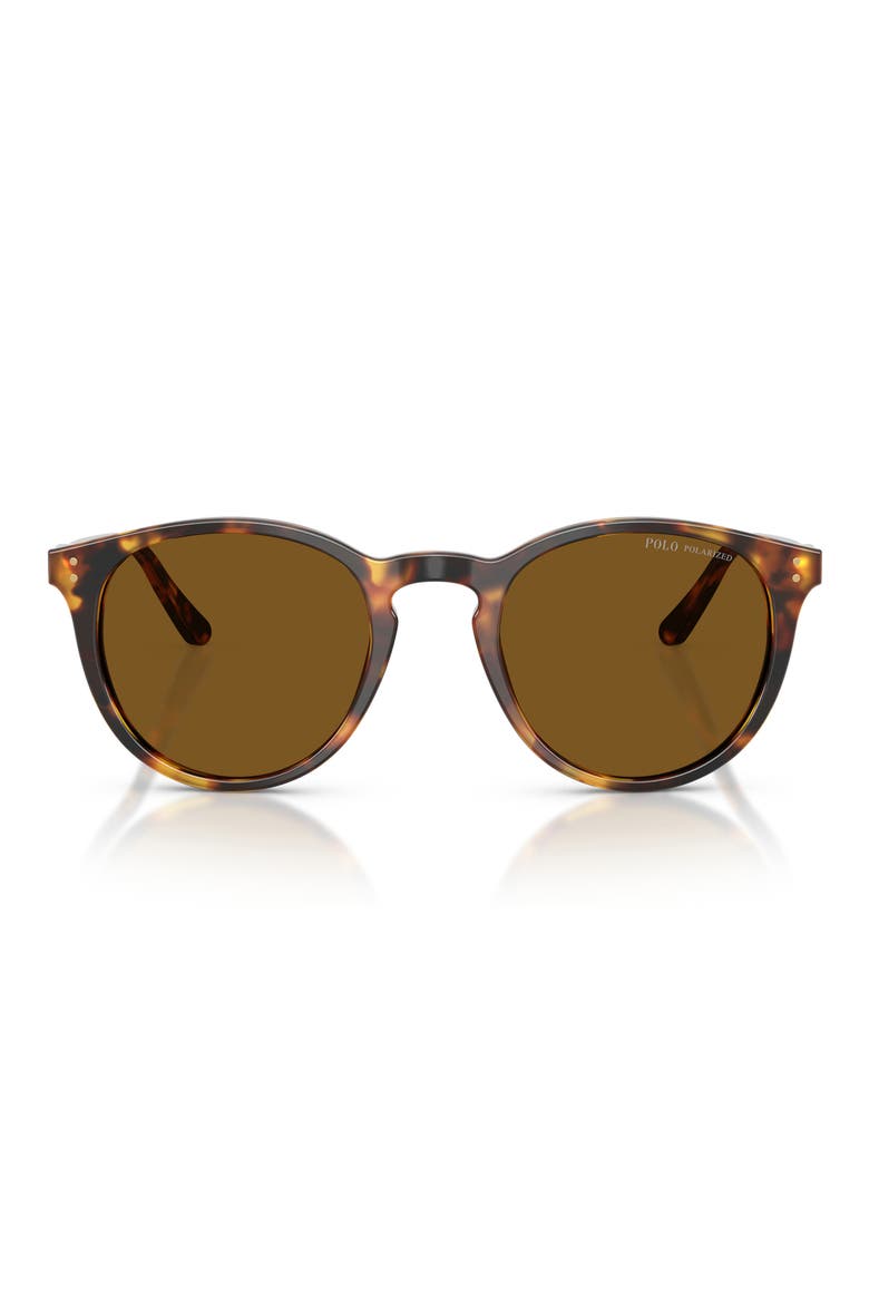 50mm Polarized Phantos Sunglasses, Main, color, SHINY ANTIQUE HAVANA / BROWN