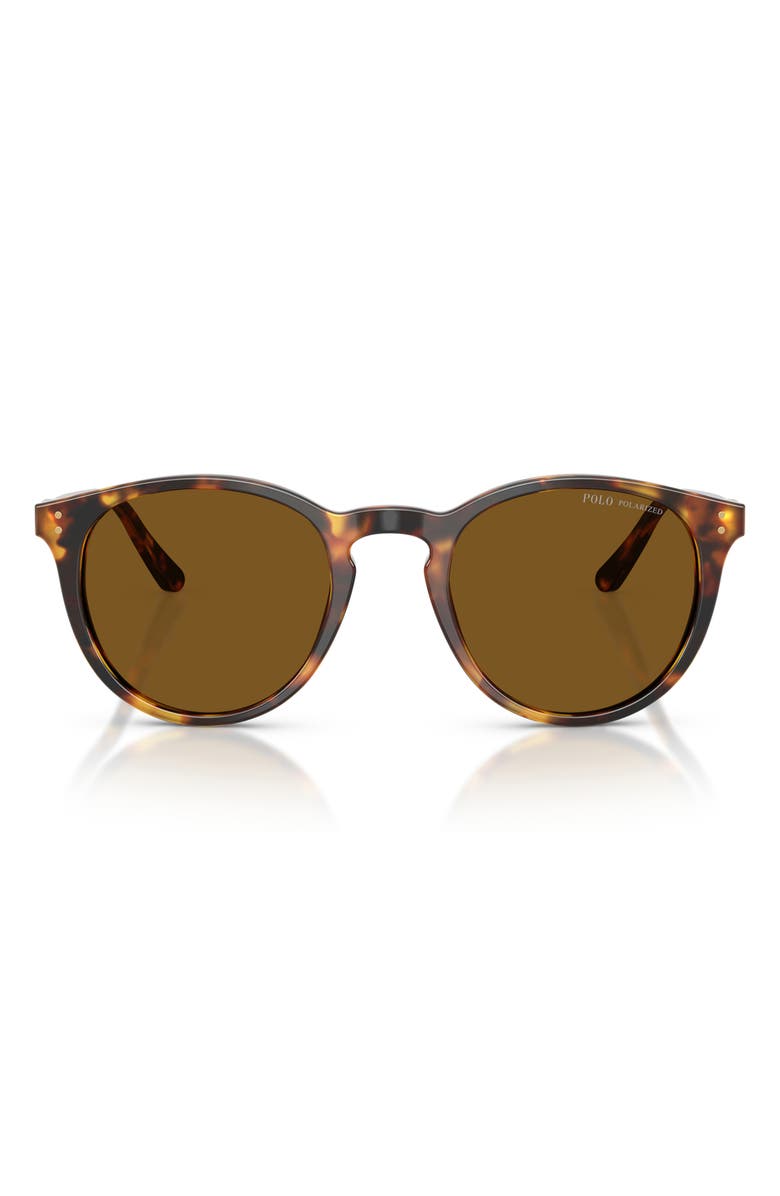 Polo Ralph Lauren 50mm Polarized Phantos Sunglasses, Main, color, Shiny Antique Havana / Brown